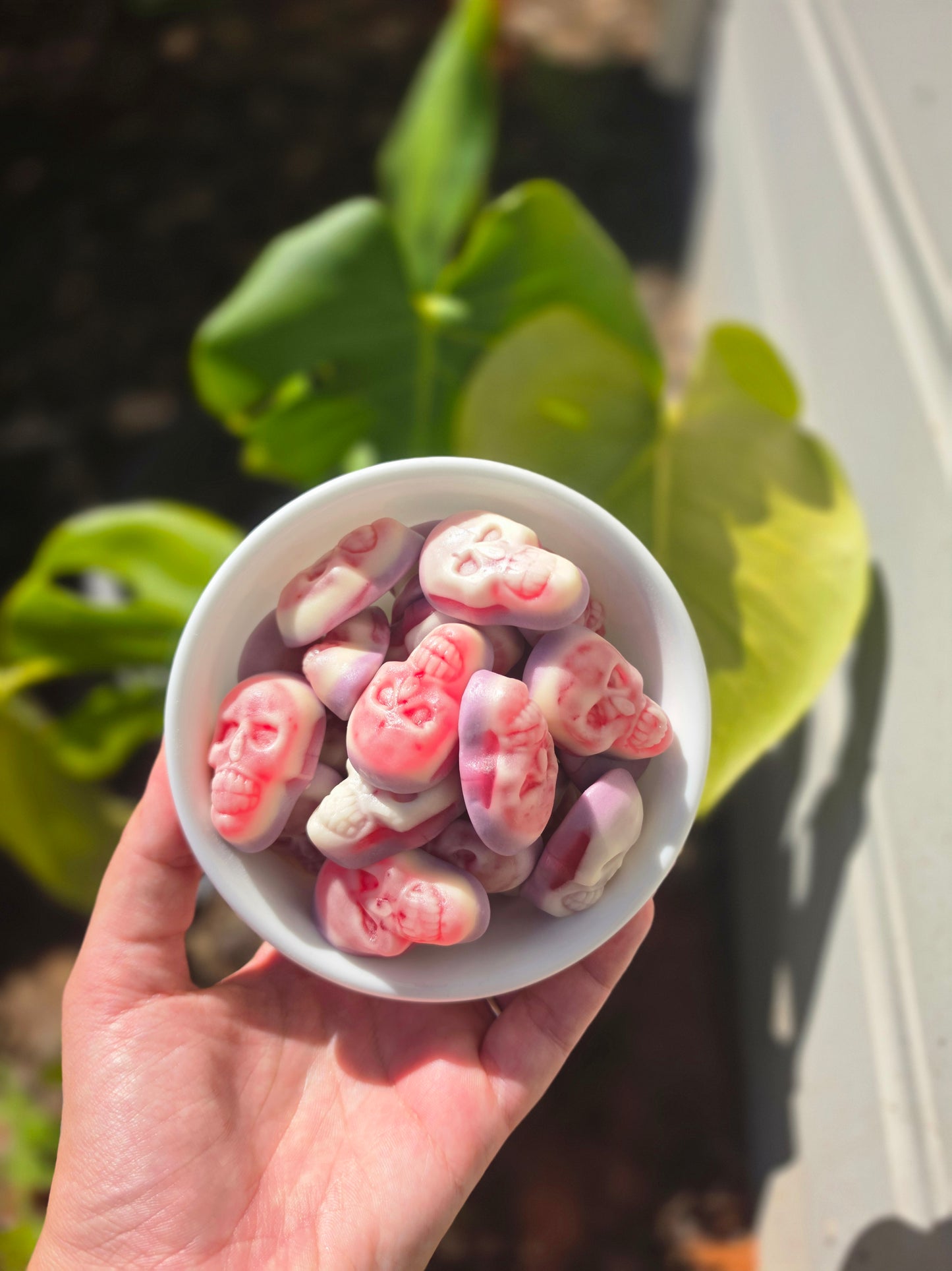 Jelly Filled Skulls (Gluten Free)