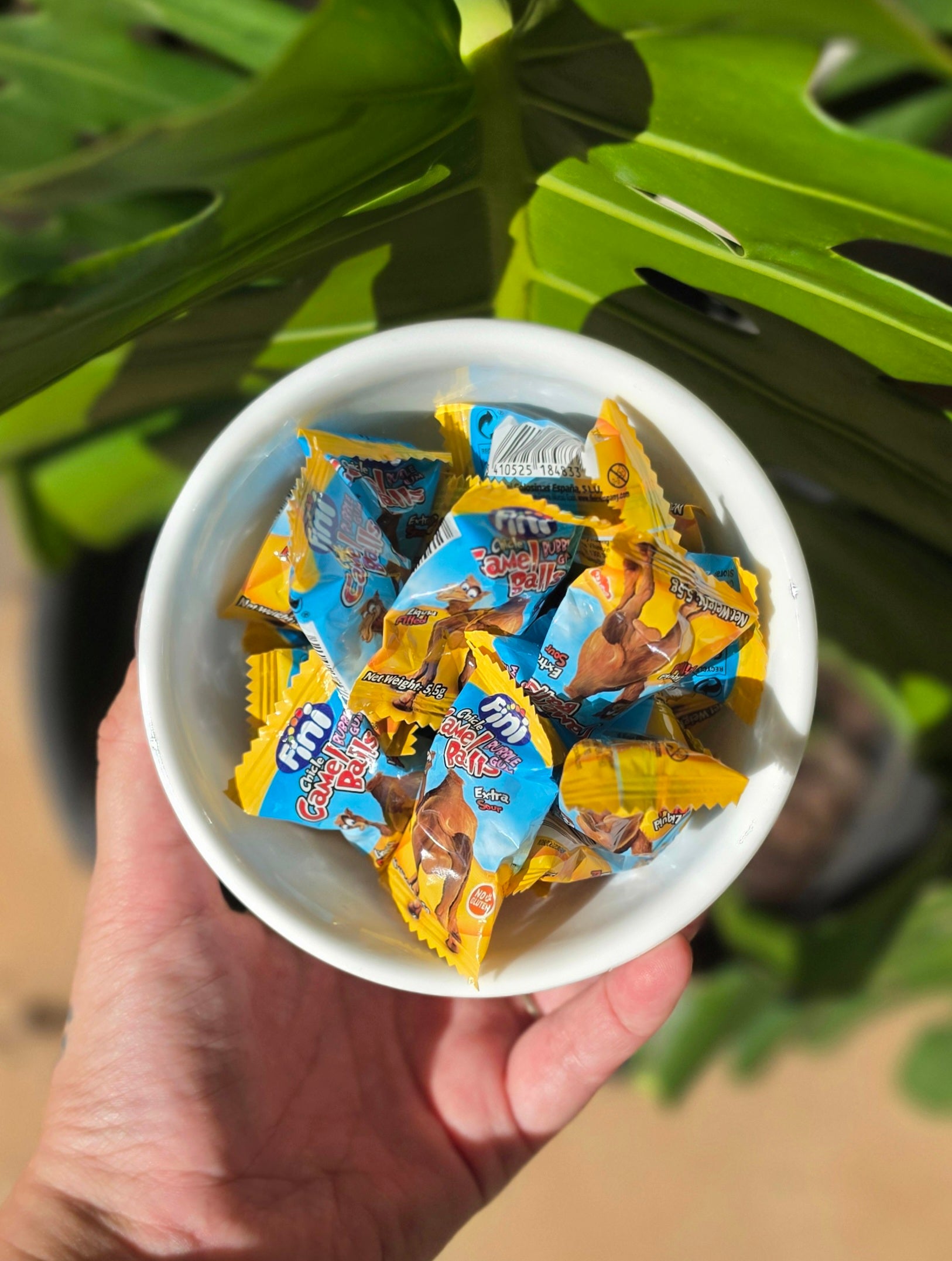 Camel Balls 100g (Gluten Free)