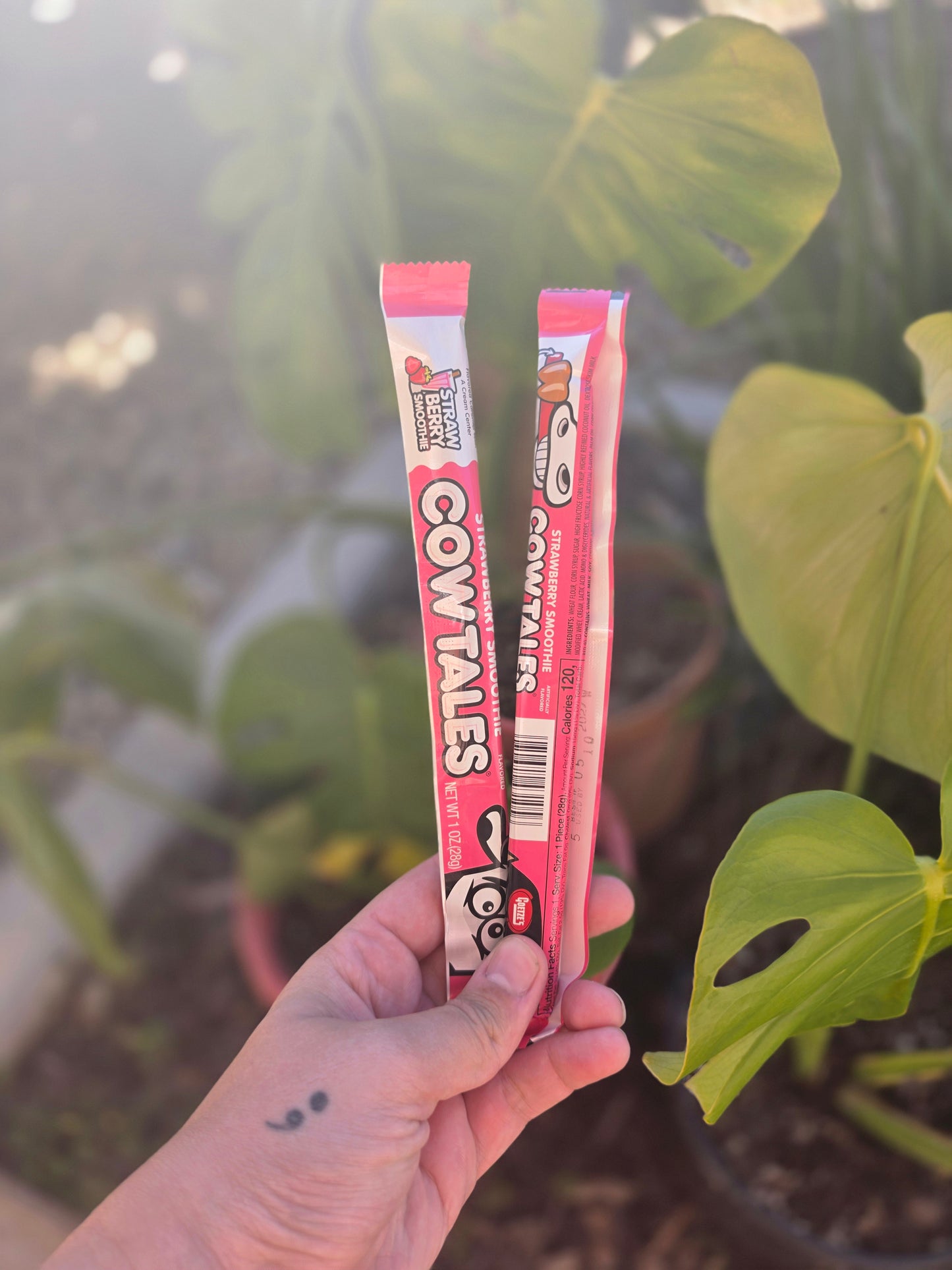 Cow Tales - Strawberry Smoothie
