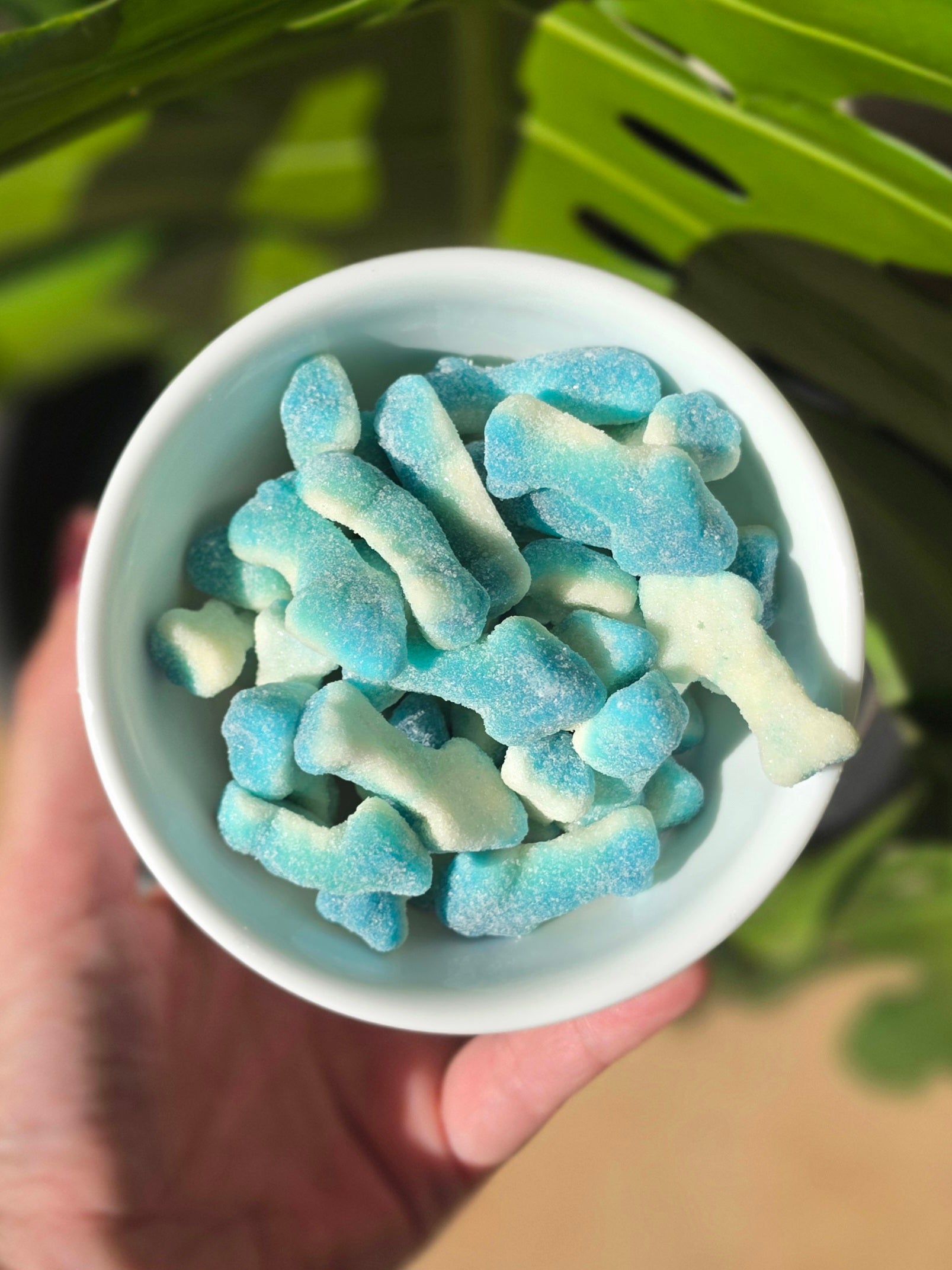 Sour Gummy Sharks (Halal, Gluten Free)