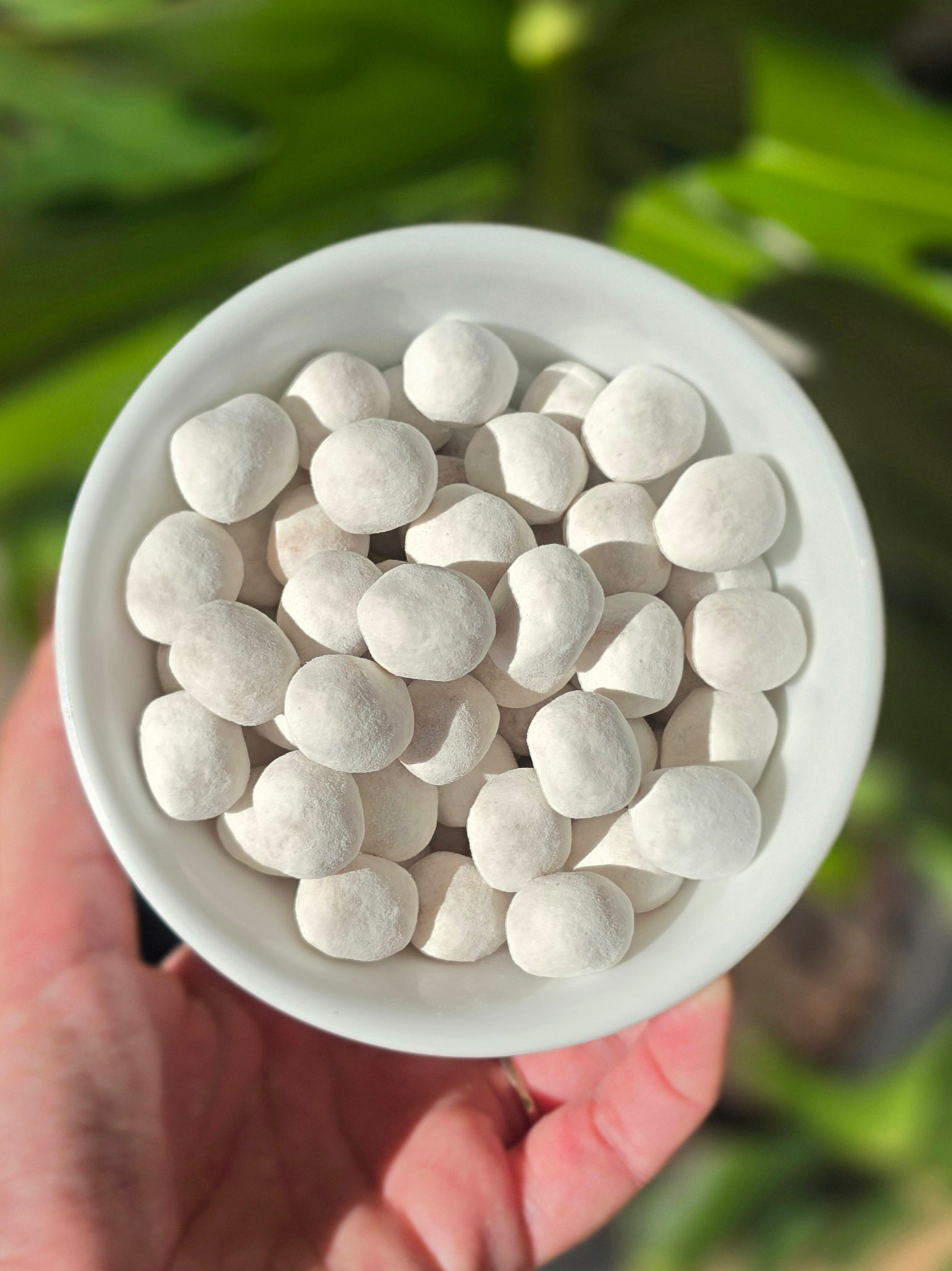 Toffee Bon Bons (Gluten Free)