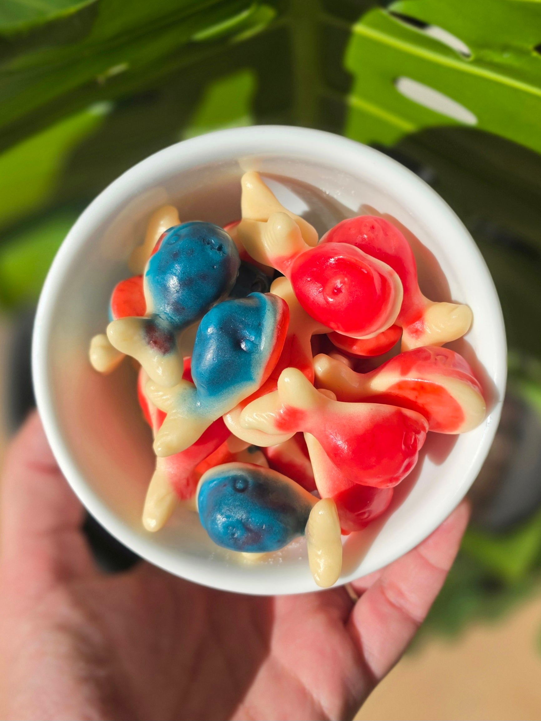 Jelly Filled Whales (GF)