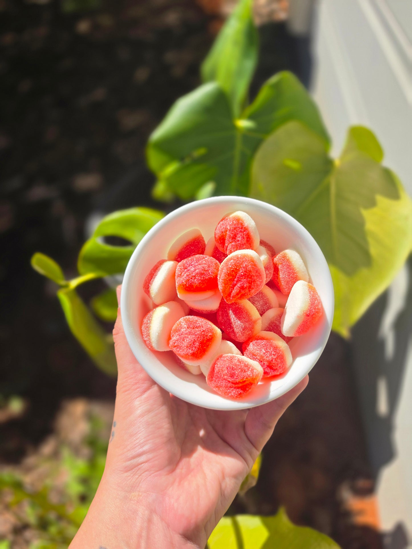 Jelly Filled Peaches (Gluten Free, Halal)