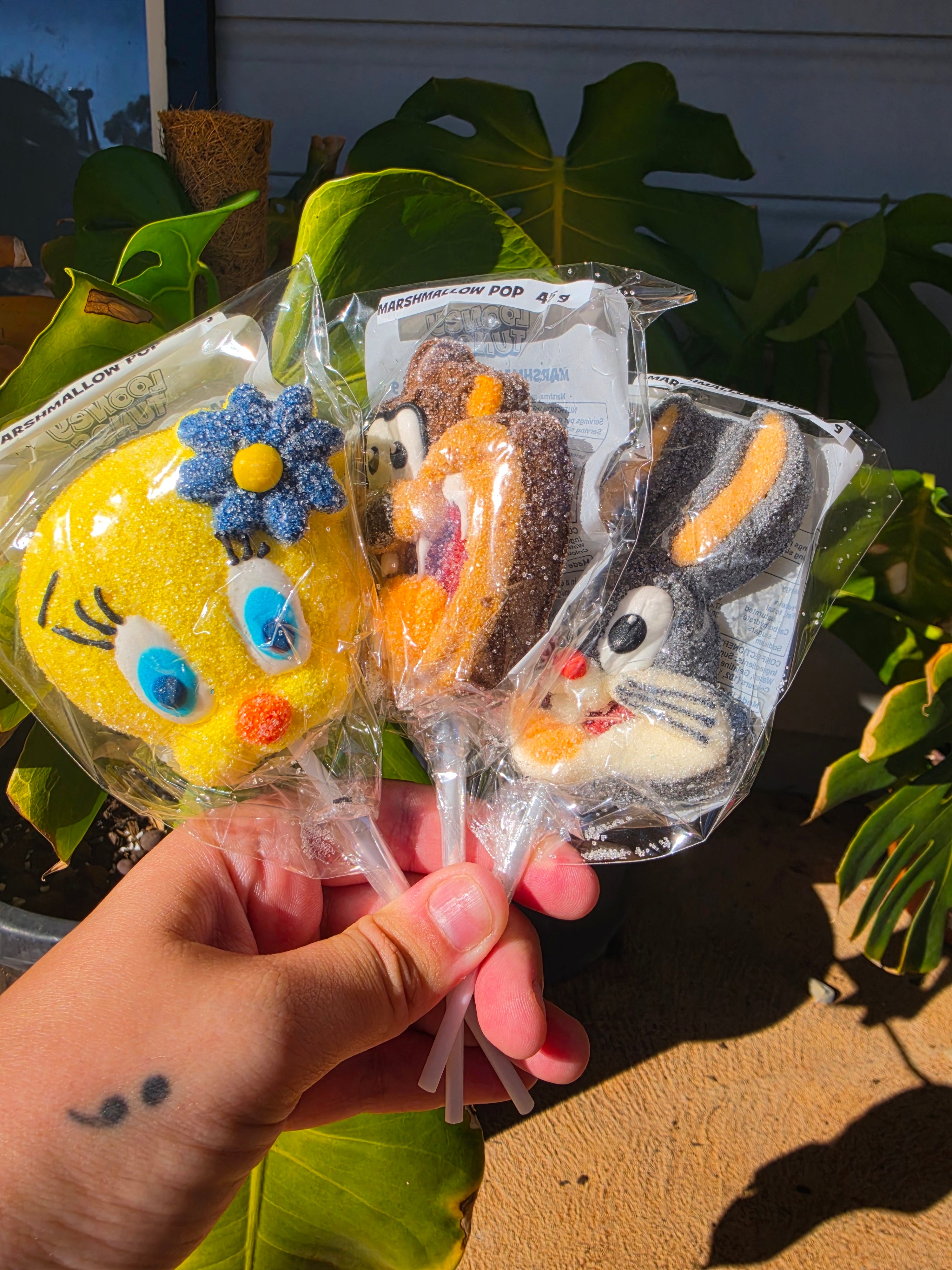 Looney Tunes Marshmellow Pop