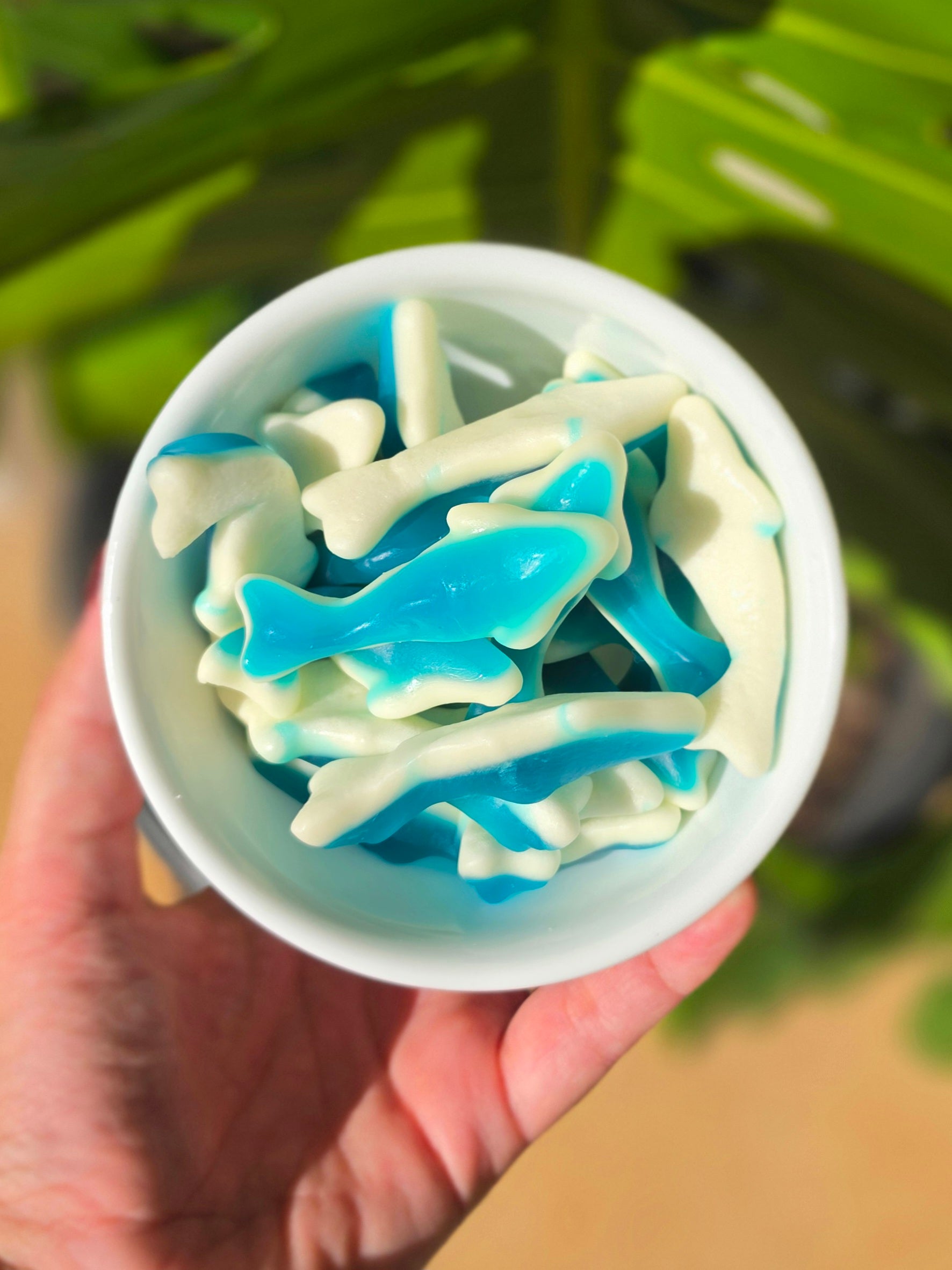 Gummy Sharks (Gluten Free)