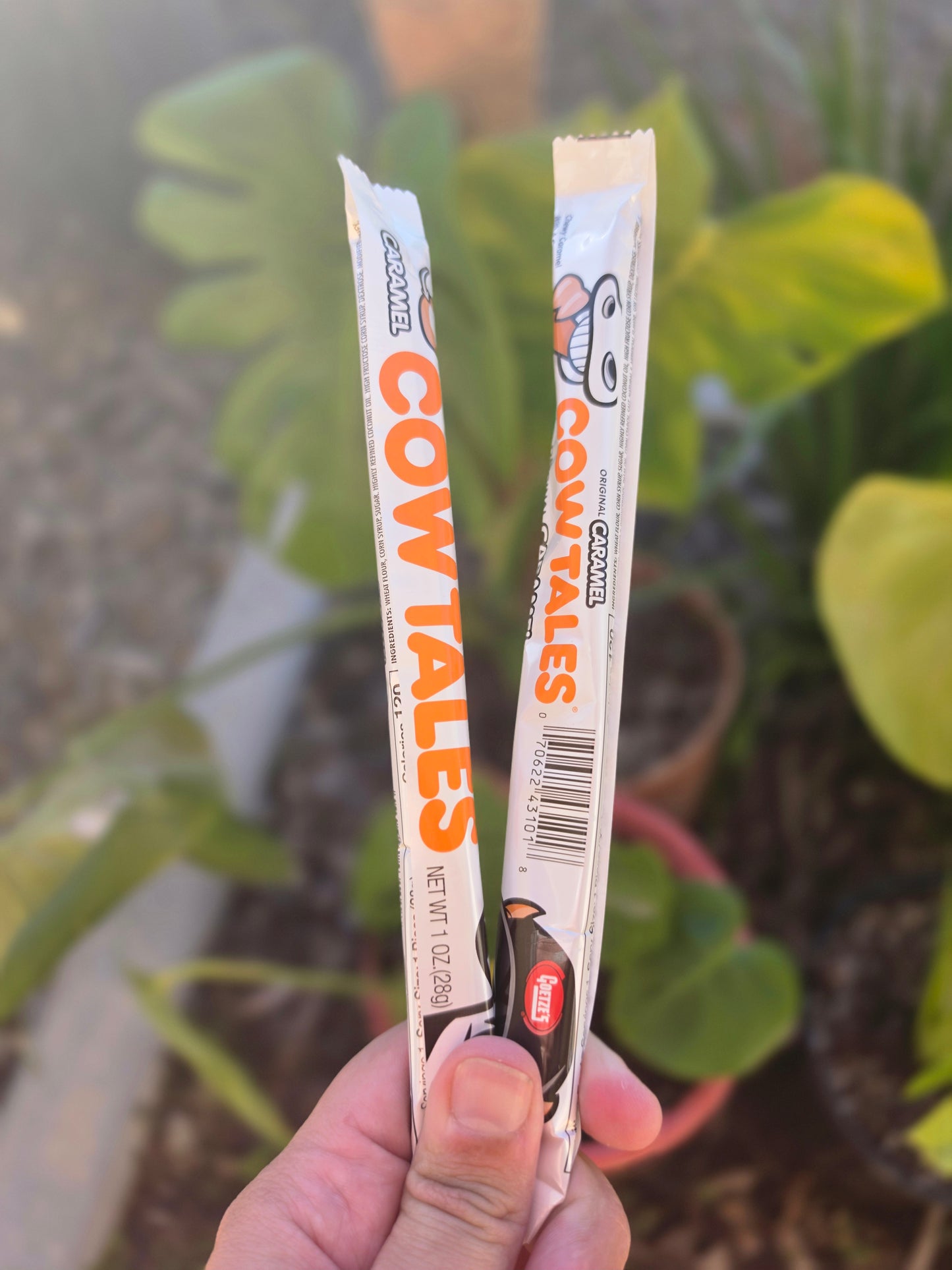 Cow Tales - Caramel