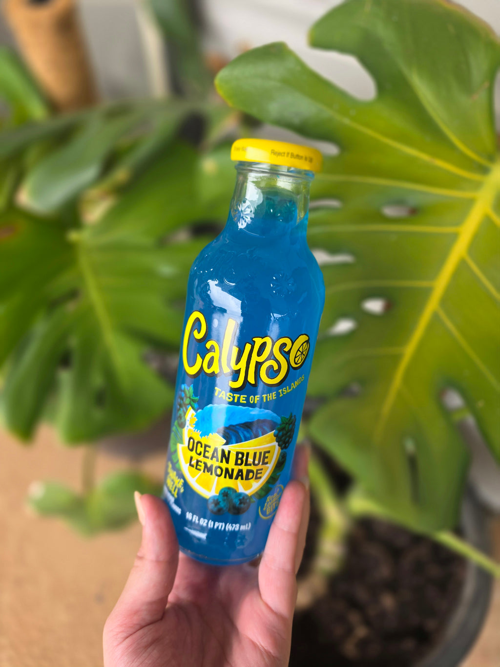 Calypso Ocean Blue Lemonade 473ml