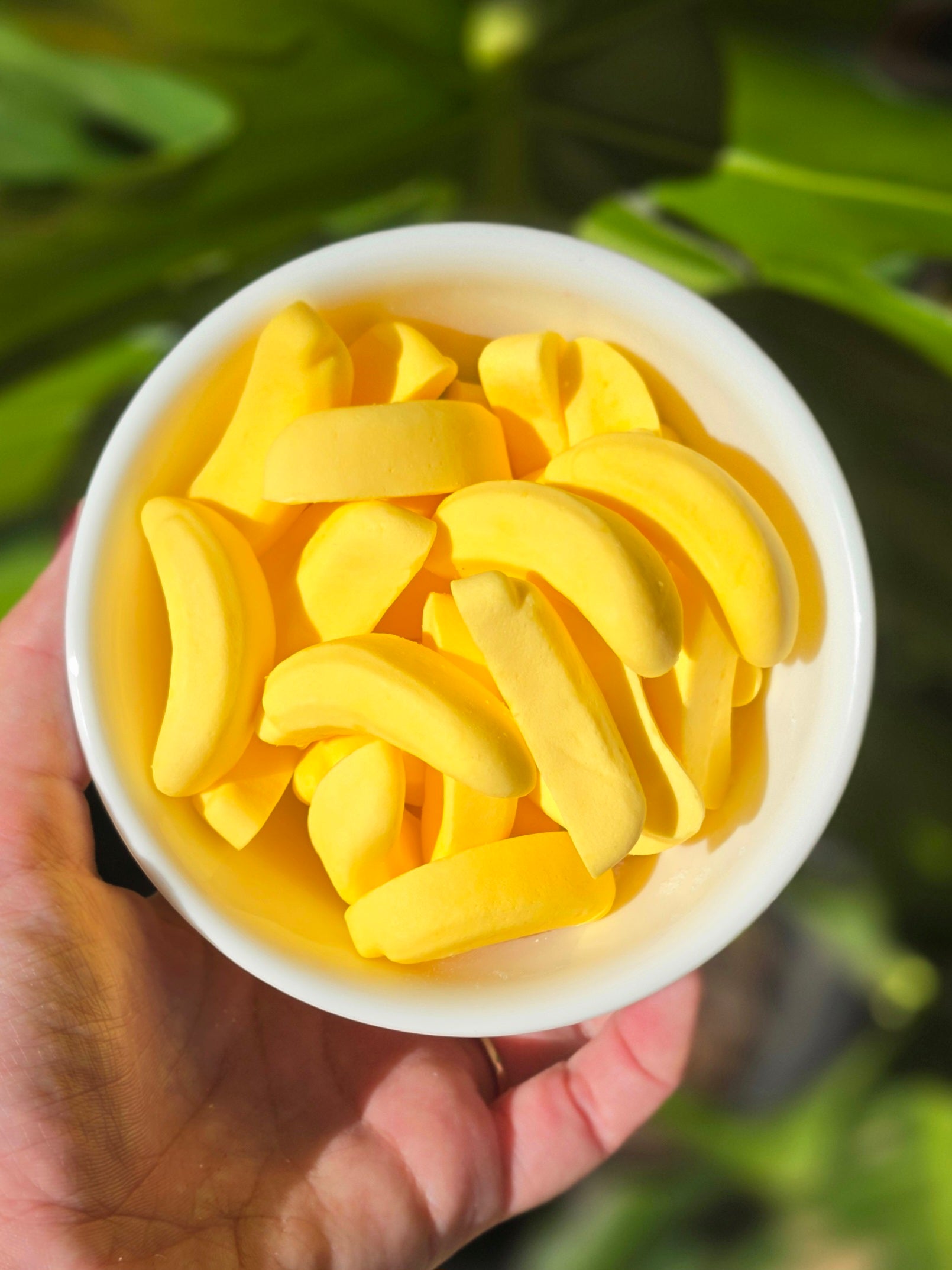 Bananas (Dated Sale)