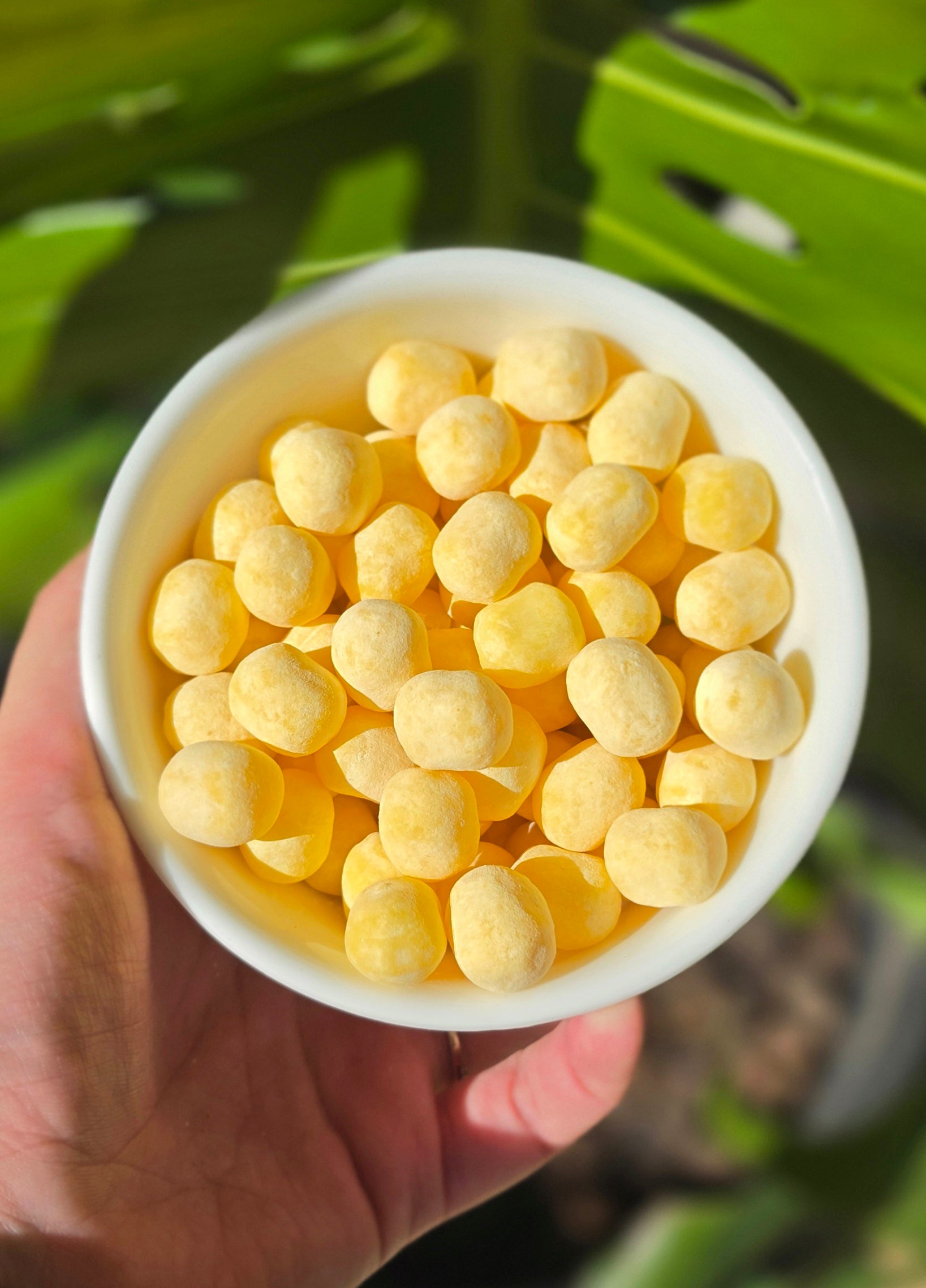 Lemon Bon Bons (GF, Vegetarian)