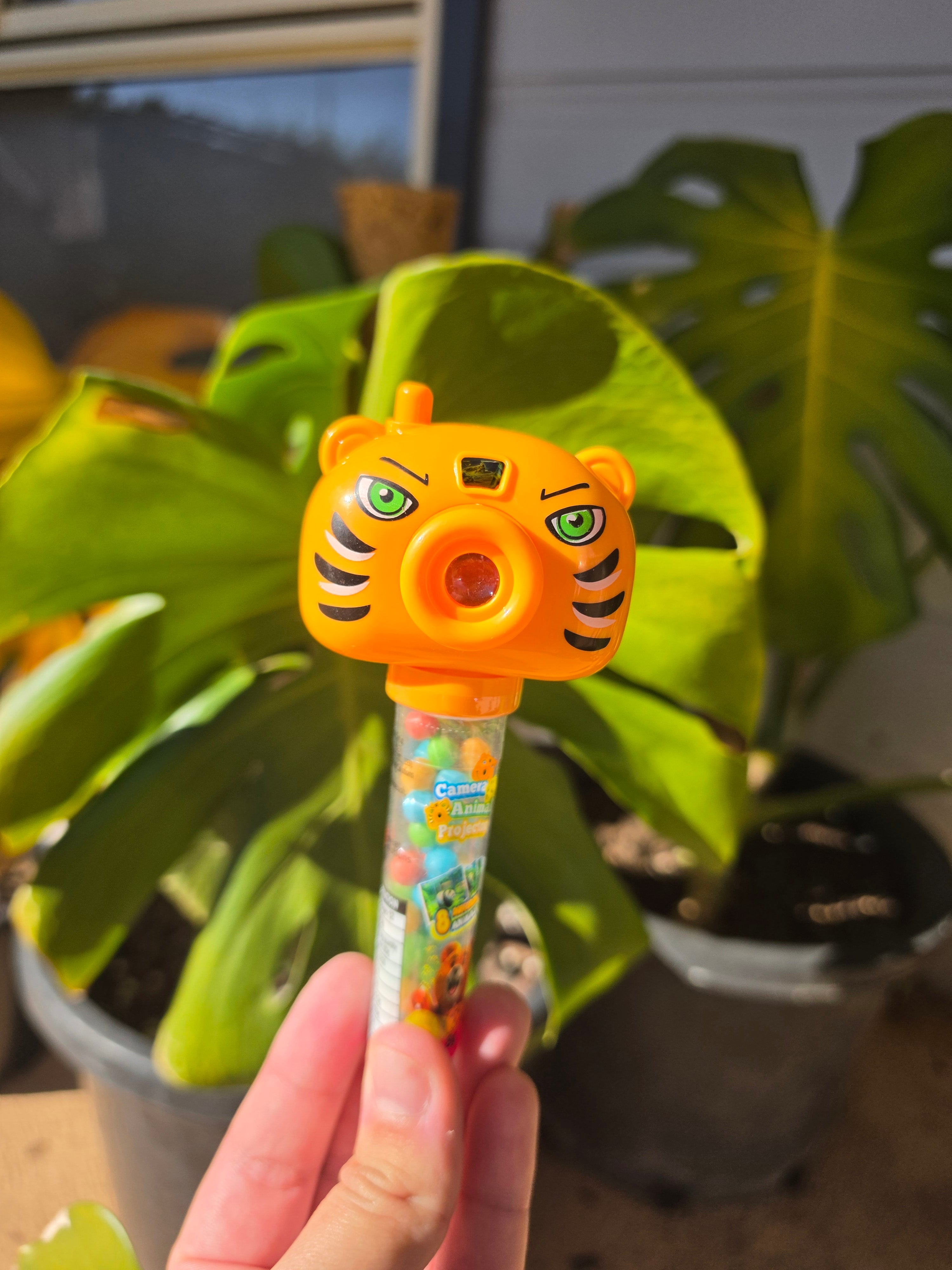 Animal Projector with Candy