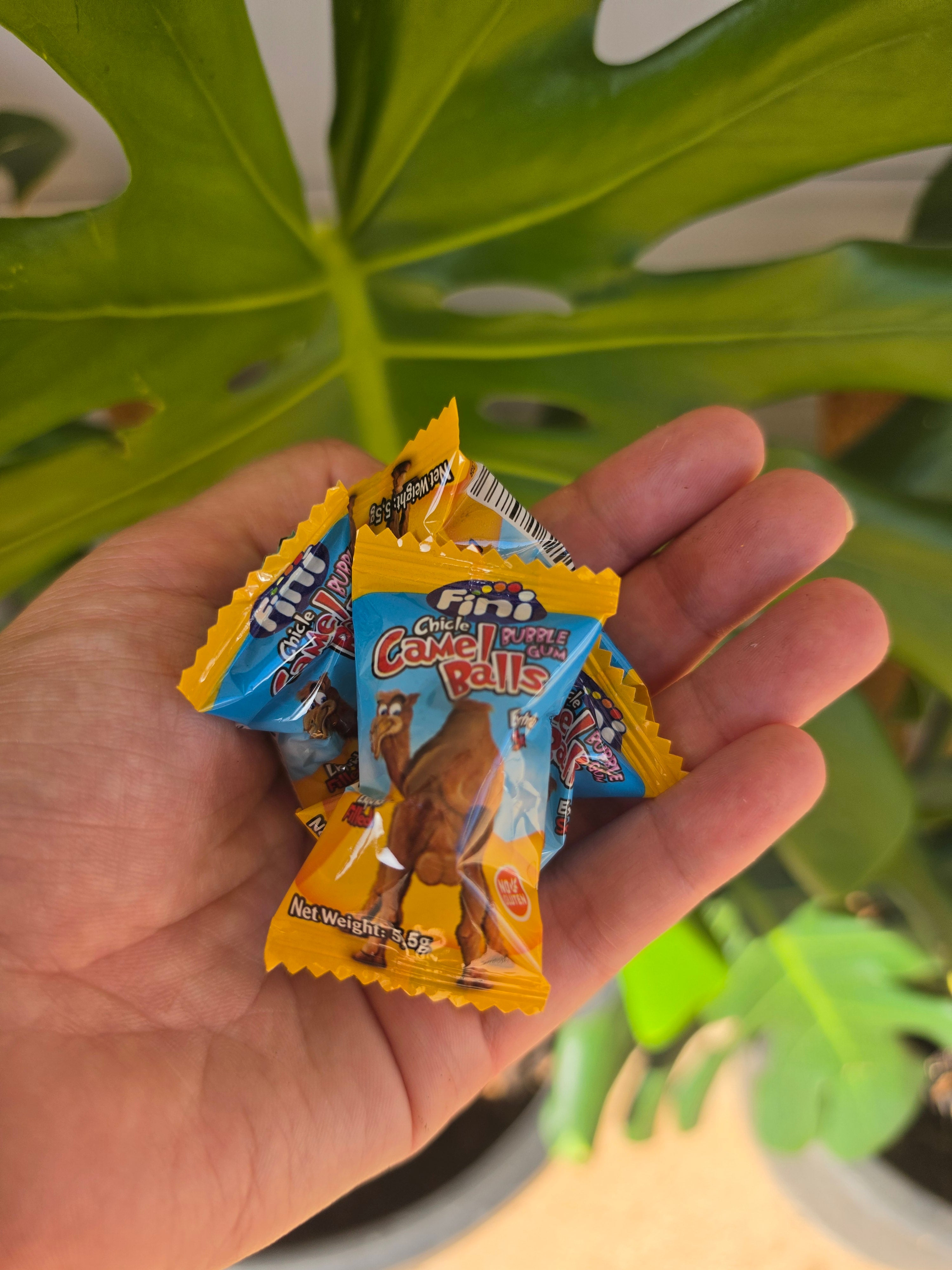 Fini Camel Balls