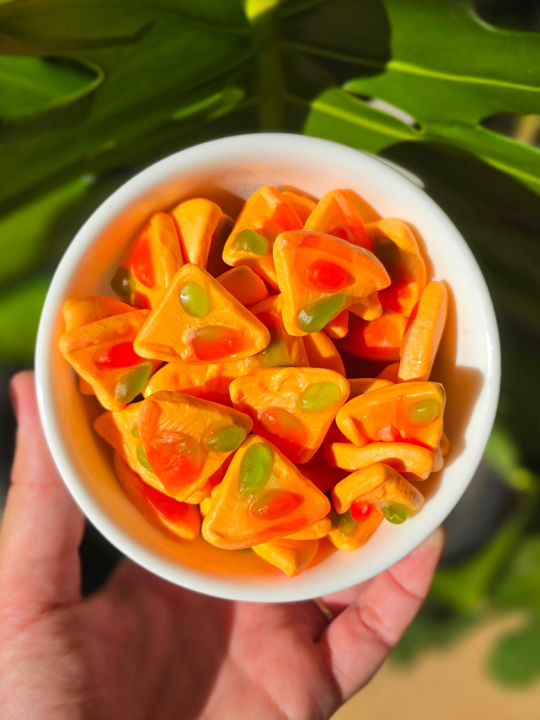 Gummy Pizza (GF)