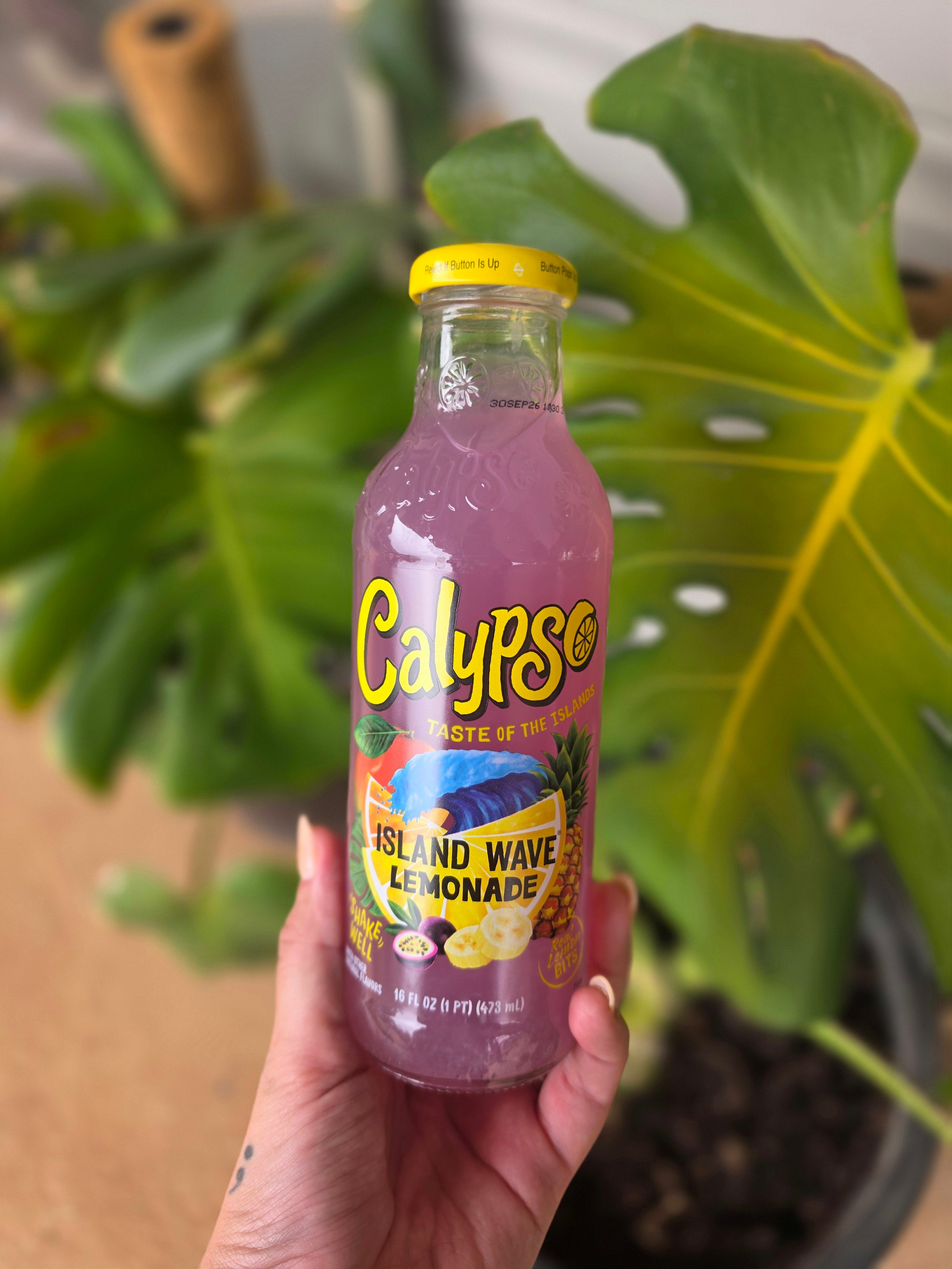 Calypso Island Wave Lemonade 473ml