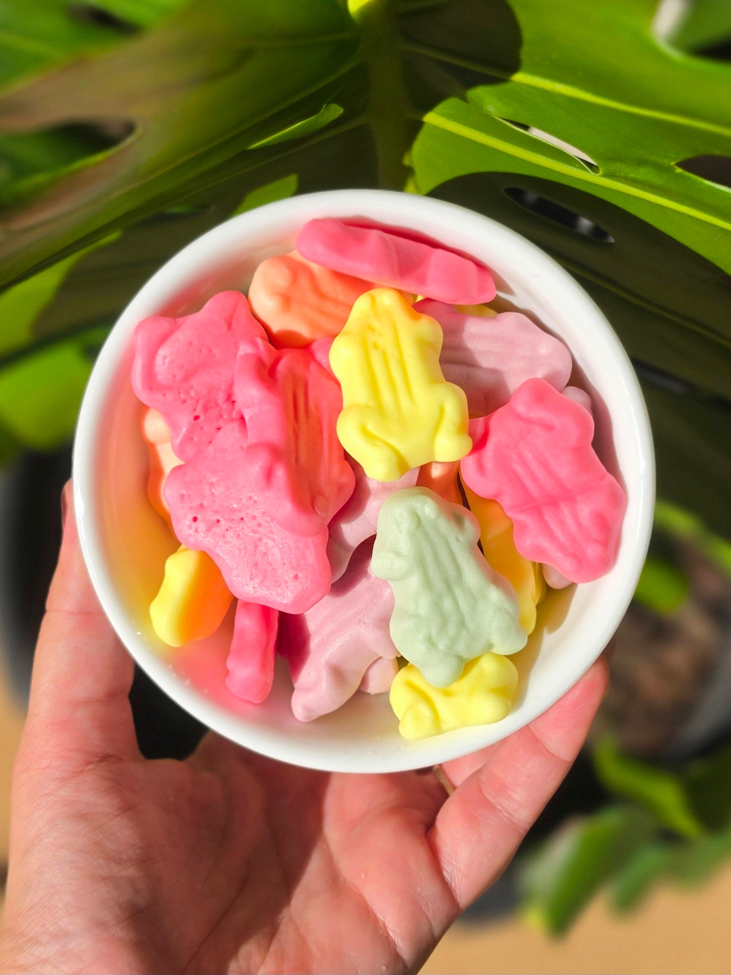 Yoghurt Frogs