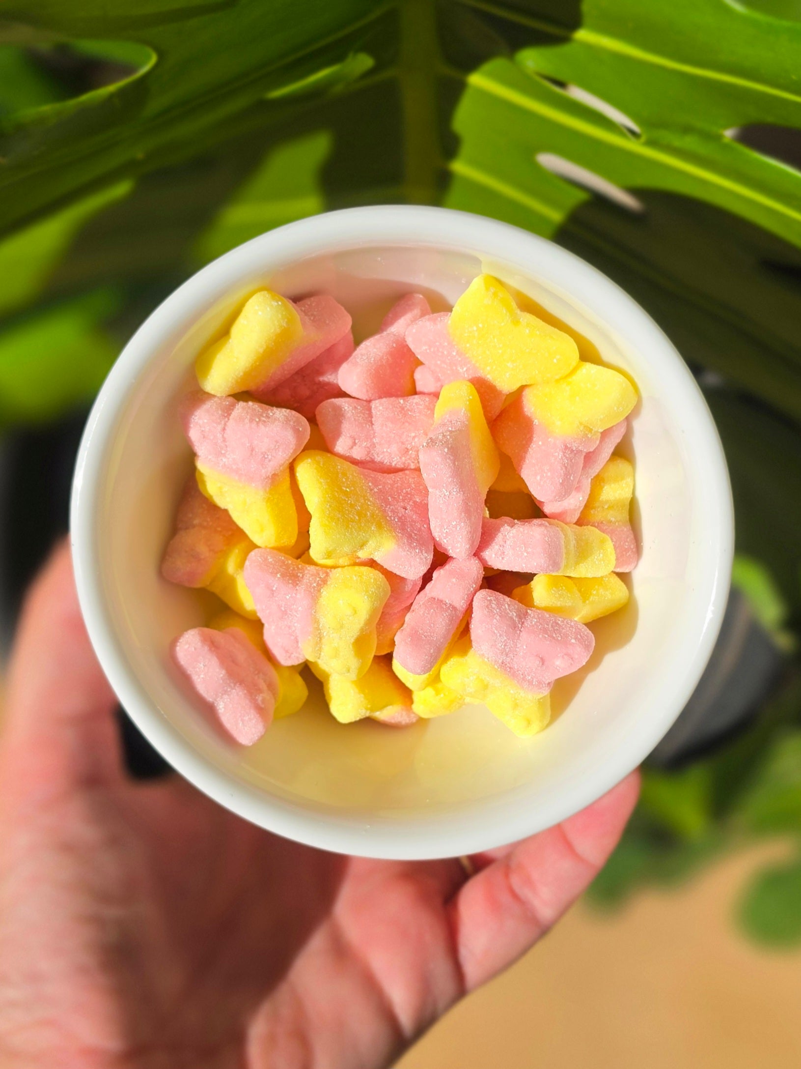 Tutti Frutti Butterflies (Gluten Free, Vegan)